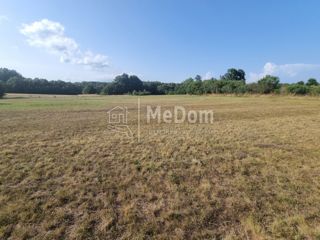 Land - Sale - ISTARSKA - BARBAN - BARBAN