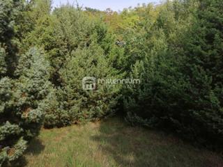 Land - Sale - ISTARSKA - BALE - BALE