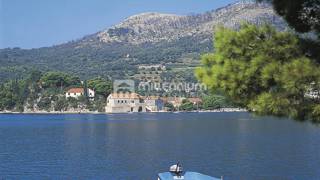Land - Sale - DUBROVAČKO-NERETVANSKA - DUBROVNIK - ZATON