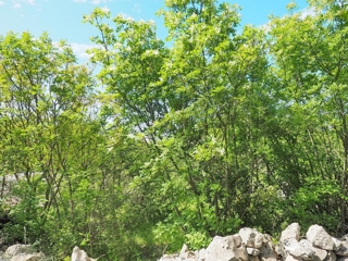 Zemljište - Prodaja - PRIMORSKO-GORANSKA - KRK - KRK