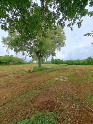 Land - Sale - ISTARSKA - MARČANA - DIVŠIĆI