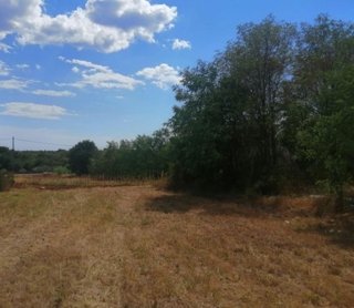 Land - Sale - ISTARSKA - POREČ - ŽBANDAJ