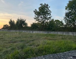 Grundstück - Verkauf - ISTARSKA - GROŽNJAN - GROŽNJAN