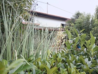 Kuća - Prodaja - ISTARSKA - UMAG - SAVUDRIJA