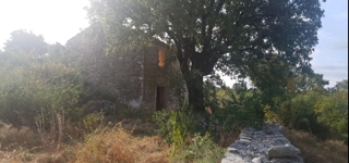 Land - Sale - ISTARSKA - ROVINJ - ROVINJ