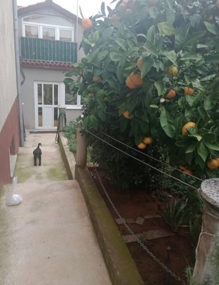 Haus - Verkauf - ISTARSKA - PULA - PULA