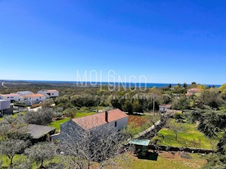 Flat - Sale - ISTARSKA - POREČ - POREČ
