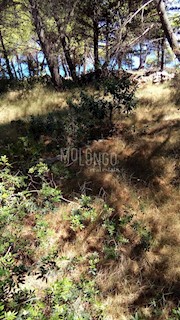 Land - Sale - SPLITSKO-DALMATINSKA - SUPETAR - SPLITSKA