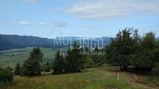 Kuća - Prodaja - ZADARSKA - POSEDARJE - SLIVNICA