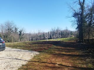 Land - Sale - ISTARSKA - VIŠNJAN - VIŠNJAN