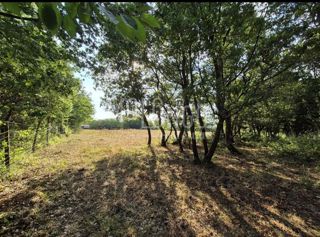 Zemljište - Prodaja - ISTARSKA - KAŠTELIR - LABINCI - CERJANI