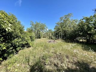 Land - Sale - PRIMORSKO-GORANSKA - KASTAV - RUBEŠI