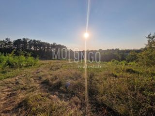 Land - Sale - PRIMORSKO-GORANSKA - FUŽINE - FUŽINE