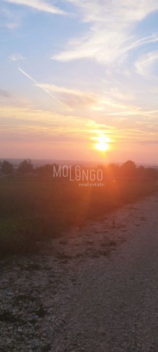Zemljište - Prodaja - ISTARSKA - POREČ - POREČ