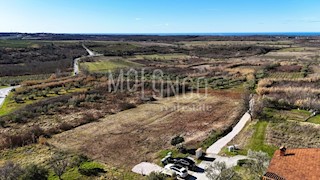 Land - Sale - ISTARSKA - BUJE - BUJE
