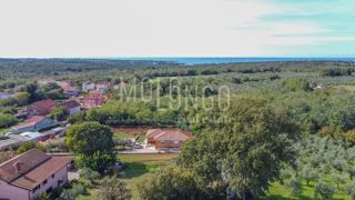 Land - Sale - ISTARSKA - BRTONIGLA - FIORINI