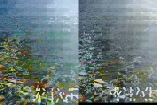 Zemljište - Prodaja - SPLITSKO-DALMATINSKA - JELSA - ZASTRAŽIŠĆE