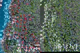 Zemljište - Prodaja - SPLITSKO-DALMATINSKA - JELSA - VRBOSKA