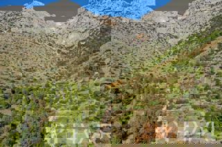 Land - Sale - SPLITSKO-DALMATINSKA - JELSA - IVAN DOLAC