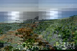 Grundstück - Verkauf - SPLITSKO-DALMATINSKA - JELSA - IVAN DOLAC