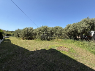 Land - Sale - ŠIBENSKO-KNINSKA - VODICE - VODICE
