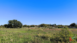 Land - Sale - ISTARSKA - VODNJAN - VODNJAN