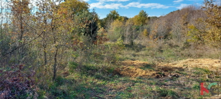 Land - Sale - ISTARSKA - ROVINJ - ROVINJ