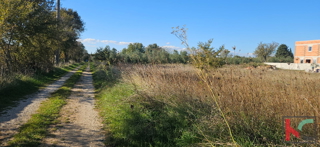 Land - Sale - ISTARSKA - VODNJAN - GAJANA