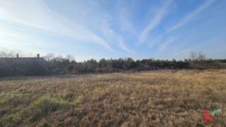 Zemljište - Prodaja - ISTARSKA - LIŽNJAN - ŠIŠAN