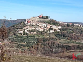 Land - Sale - ISTARSKA - MOTOVUN - MOTOVUN