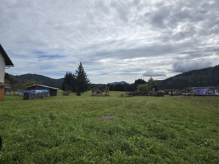 Land - Sale - PRIMORSKO-GORANSKA - RAVNA GORA - RAVNA GORA