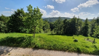 Land - Sale - PRIMORSKO-GORANSKA - RAVNA GORA - STARI LAZ