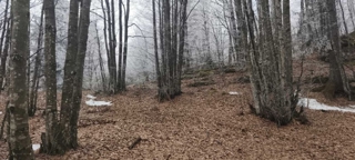 Grundstück - Verkauf - PRIMORSKO-GORANSKA - RAVNA GORA - STARI LAZ