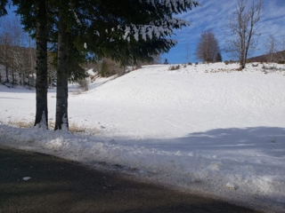 Grundstück - Verkauf - PRIMORSKO-GORANSKA - RAVNA GORA - STARI LAZ