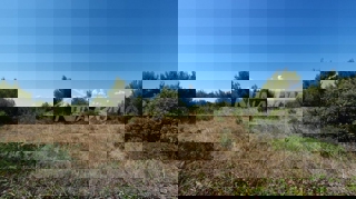 Land - Sale - ZADARSKA - VIR - VIR