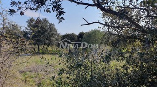 Land - Sale - ZADARSKA - VIR - VIR