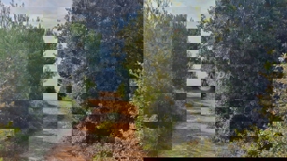 Land - Sale - ZADARSKA - VIR - VIR