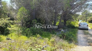 Land - Sale - ZADARSKA - VIR - VIR