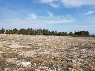Land - Sale - ZADARSKA - VRSI - VRSI