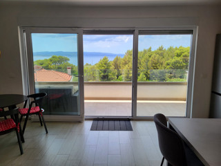 Wohnung - Verkauf - SPLITSKO-DALMATINSKA - BAŠKA VODA - PROMAJNA