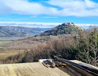 Grundstück - Verkauf - ISTARSKA - MOTOVUN - MOTOVUN