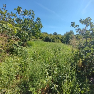 Land - Sale - PRIMORSKO-GORANSKA - KRK - MILOHNIĆI