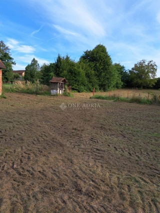Land - Sale - MEĐIMURSKA - SVETI MARTIN NA MURI - SVETI MARTIN NA MURI