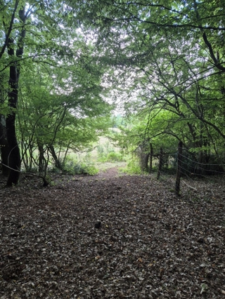 Land - Sale - ISTARSKA - KAŠTELIR - LABINCI - KAŠTELIR