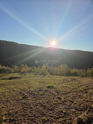 Land - Sale - ISTARSKA - MOTOVUN - MOTOVUN
