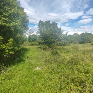 Land - Sale - PRIMORSKO-GORANSKA - KRK - MILOHNIĆI