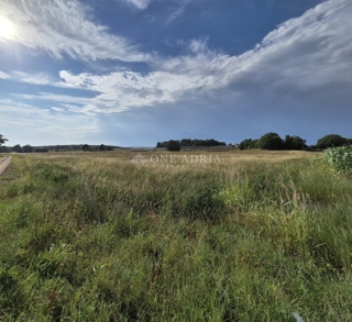 Land - Sale - ISTARSKA - KAŠTELIR - LABINCI - KAŠTELIR