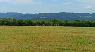 Land - Sale - ISTARSKA - BUZET - BUZET