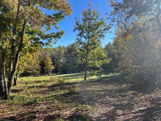 Grundstück - Verkauf - ISTARSKA - GRAČIŠĆE - BAZGALJI