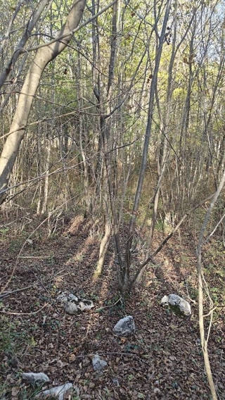 Land - Sale - PRIMORSKO-GORANSKA - RIJEKA - RIJEKA
